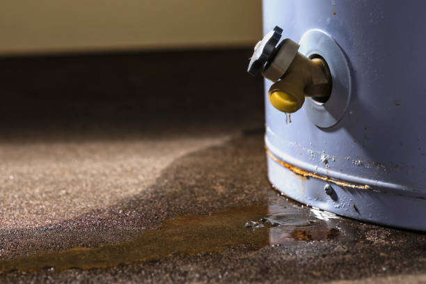 Best Water damage restoration insurance claims  in Olive Branch, MS