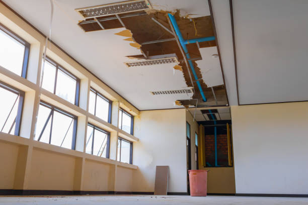Best Ceiling water damage repair  in Olive Branch, MS