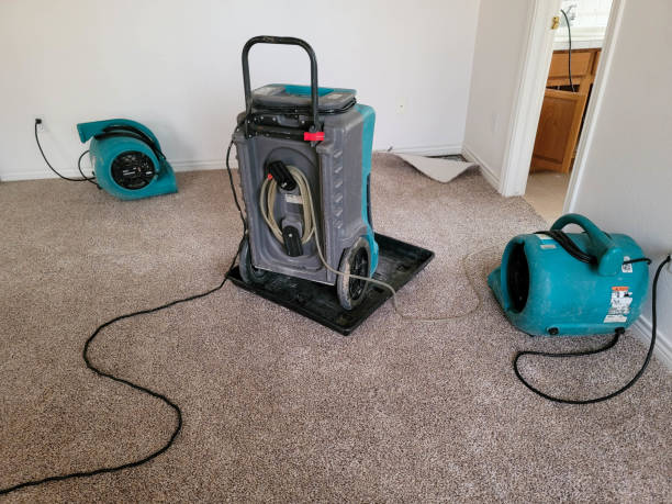 Best 24/7 water damage repair  in Olive Branch, MS