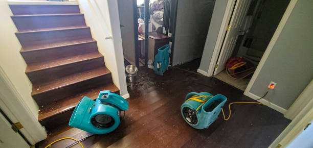 Best Water damage restoration company  in Olive Branch, MS