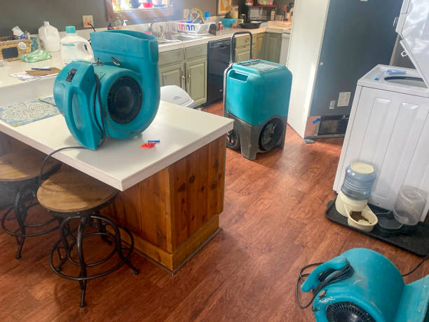 Best Emergency water damage restoration  in Olive Branch, MS