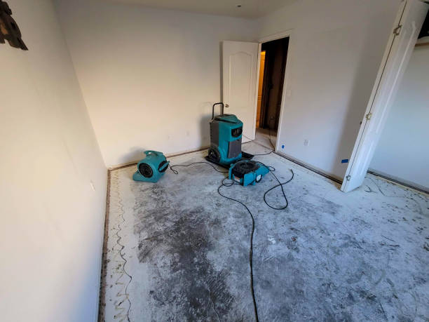 Best Water damage restoration near me  in Olive Branch, MS