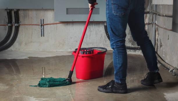 Best Water damage contractors near me  in Olive Branch, MS