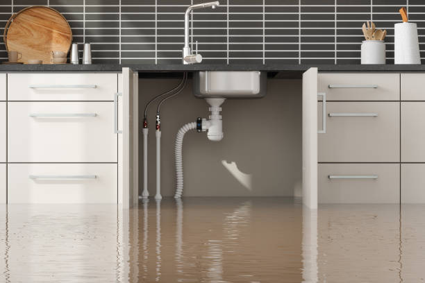 Best Water damage restoration mold remediation  in Olive Branch, MS