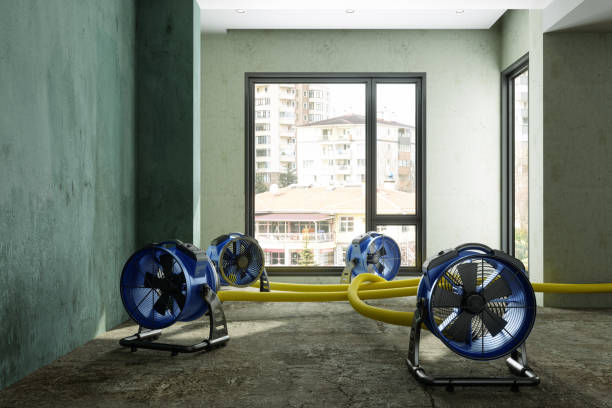 Best Water damage restoration near me  in Olive Branch, MS