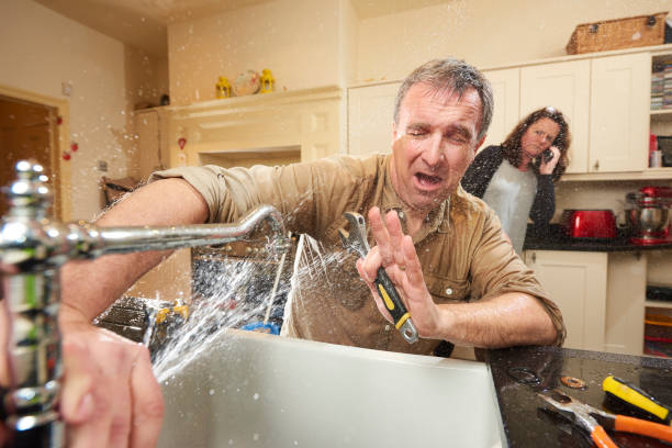 Best Sewage cleanup and water damage restoration  in Olive Branch, MS